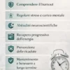 Schema del protocollo in 30 giorni per uscire dal burnout: fasi di regolazione dello stress, abitudini neuroscientifiche, recupero delle energie e mantenimento del benessere mentale a lungo termine.